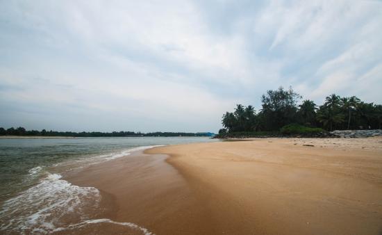 Kodi Beach